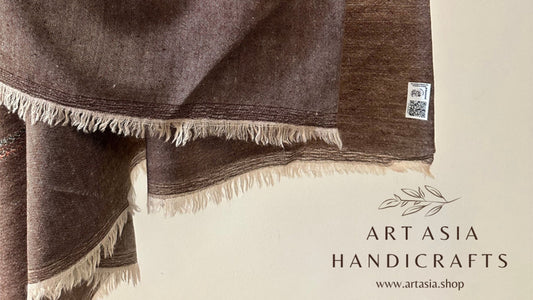 Is Pashmina warmer than your average scarf ArtAsiaHandicrafts