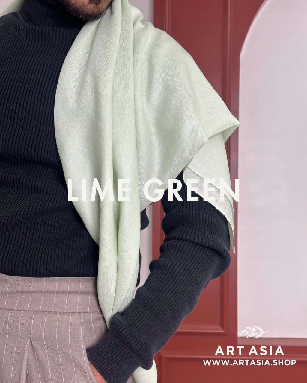 PLAIN PASHMINA WEAR COLOUR STOLE